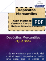 Depósitos Mercantiles