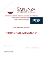 Tesina Carcinoma Mammario Prof. Ramieri