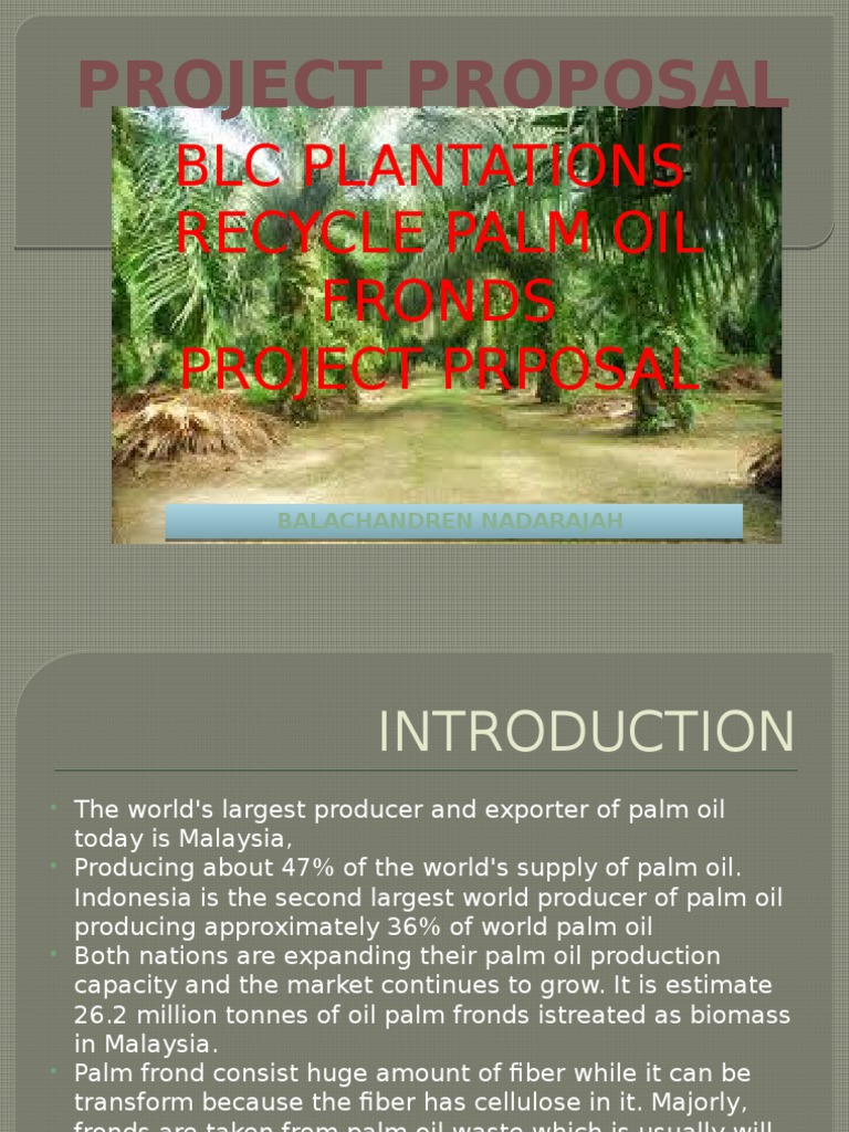 BLC Plantations Recycle Palm Oil Fronds Project Prposal | PDF ...