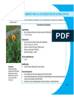 MedicinaAlternativa5.pdf