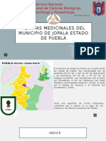 Plantas Medicinales Del Municipio de Jolapa Estado De