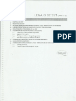 Legajo de SST (Parte 1) - Opt