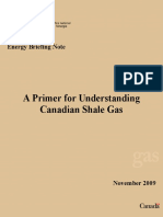 Shale Gas Primer 