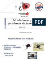  Mordeduras y Picaduras de Insectos