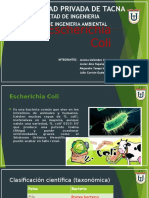 E. Coli: Características, Patogenicidad y Prevención