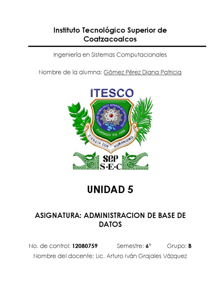 UNIDAD 5 SEGURIDAD BASE DE DATOS Compilador Analizando