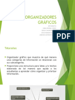 ORGANIZADORES GRÁFICOS