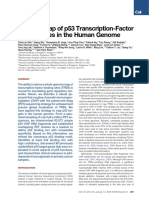 A Global Map of p53 Transcription-Factor Binding Sites in The Human Genome 1-s2.0-S0092867405013991-Main