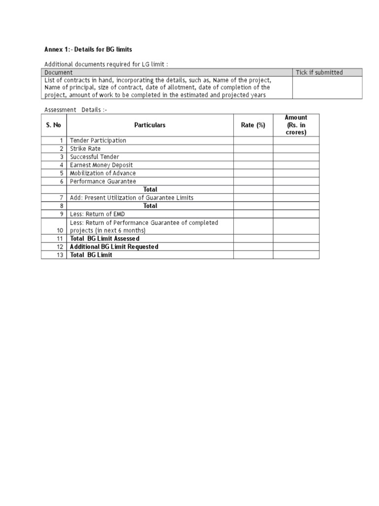 BG Limits Assessment and Documentation | PDF | Finance & Money Management