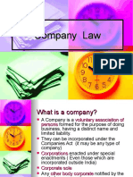 Company Law of India 2013 ppt