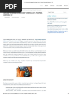 Download Cara Ampuh Mengatasi Bootloop Unbrick Lupa Pola Pada Andromax U2 by rasmarley SN314719811 doc pdf