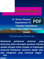 Pertahanan Eksternal