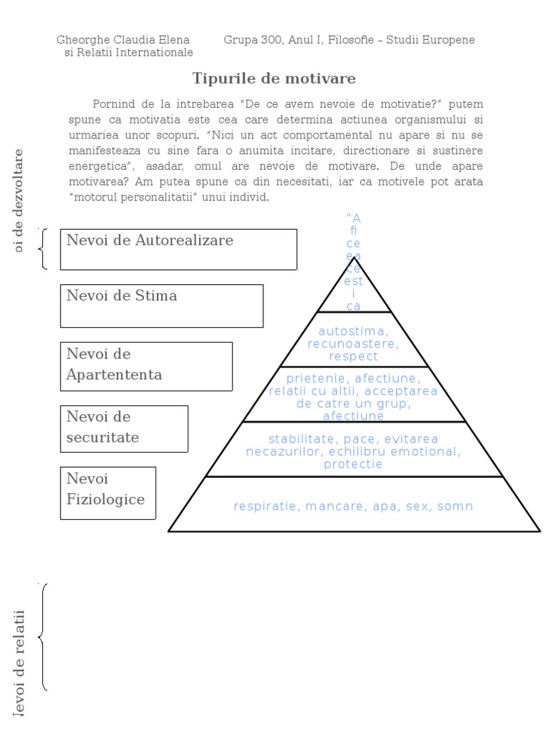 Tipuri de Motivare | PDF