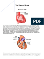 The Human Heart