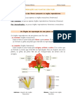 reprodução nas plantas - apontamentos