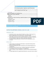 Overview of NSW Criminal Justice System and Diversion Programs