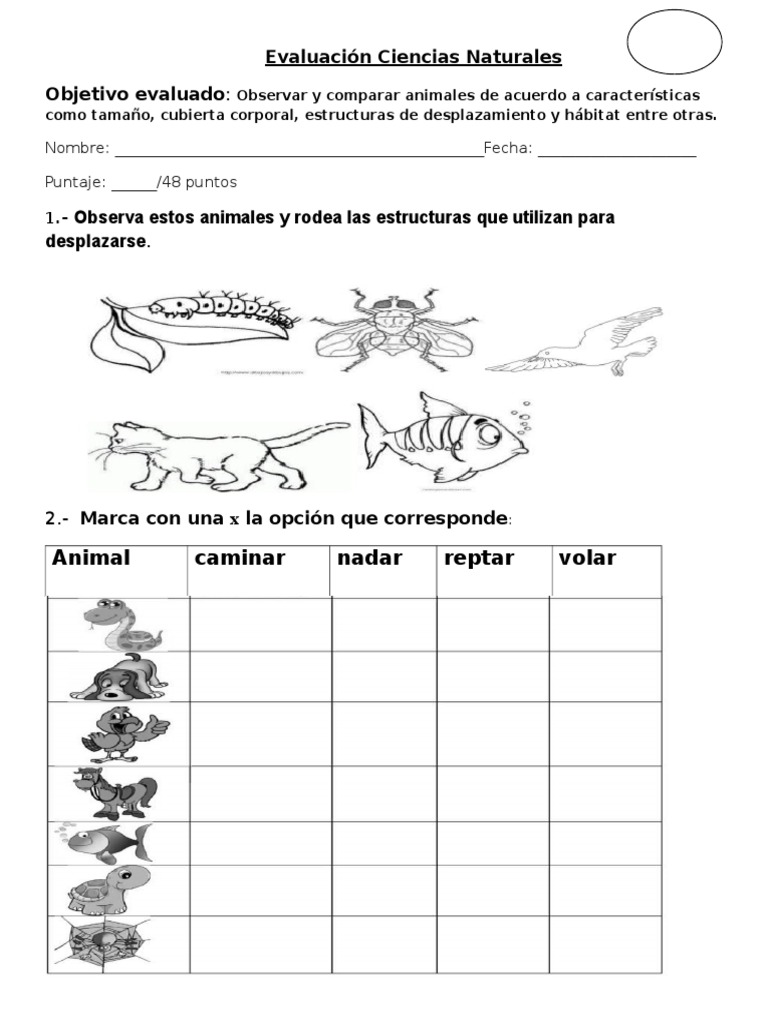 Desplazamiento de Animales 1° | PDF