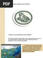 Especialidade de Anfibios