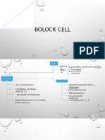 Bolock Cell Exposicionpilar