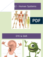 Biology Eye and Ear