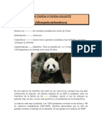 Pandas Resumen
