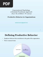 Productive Behavior in Organizations