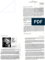 Capitulo 02 Rotondo Neurociencias y Psiquiatría 1ra Ed