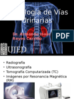 Urologa Imagenologadeviasurinarias 130223192734 Phpapp02
