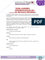 Seminario Lesiones Anatomopatologias Del Alcohol Metilico (Metanol)
