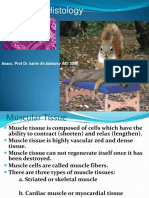 Muscle Histology: Assoc. Prof Dr. Karim Al-Jashamy IMS 2009