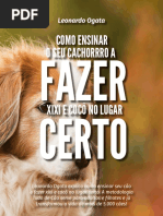 Xixi No Lugar Certo Por Leonardo Ogata