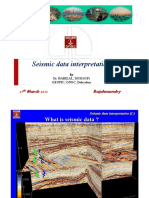 Seismic Interpretation