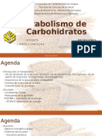 Metabolismo de Carbohidratos