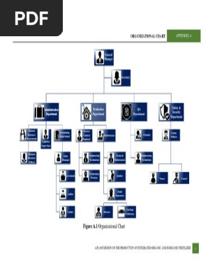 Organizational Chart