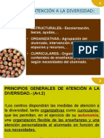 Atención a La Diversidad