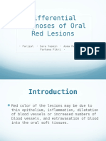 Differential Diagnoses of Red Lesions