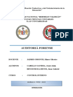 AUDITORIA FORENSE MONOGRAFIA.docx