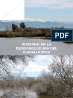 Invierno en La Desembocadura Del Guadalhorce