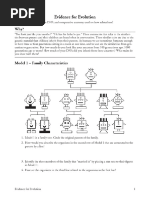 19 Evidence For Evolution S Organisms Parent