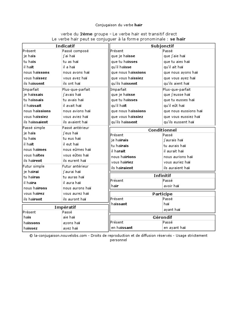 Conjugaison Verbe Hair Au Féminin – LVWHK