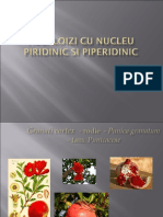 11ALCALOIZI CU NUCLEU PIRIDINIC SI PIPERIDINIC PP1020111.ppt