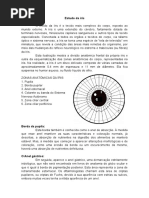 Estudo Da Íris