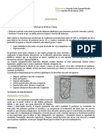 03 01 15 Cirugia de Abdomen Peritonitis