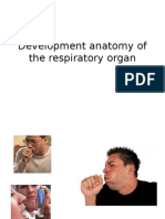 5 Development Anatomy of The Respiratory Organedit Pagi23mei