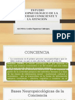 Neuro Psicologia