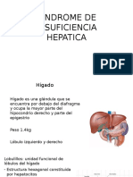 SINDROME_DE_INSUFICIENCIA_HEPATICA2.pptx;filename= UTF-8''SINDROME DE INSUFICIENCIA HEPATICA2