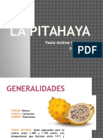 La Pitahaya