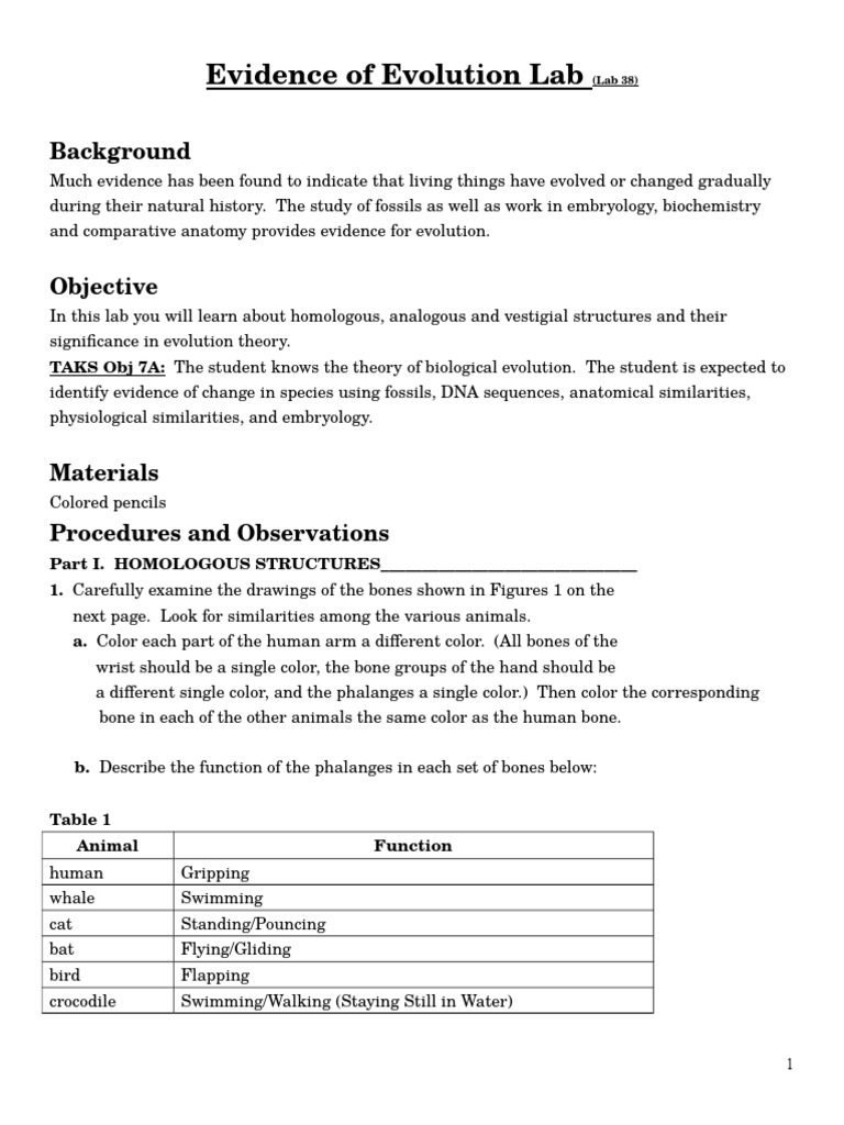 worksheet Evidence For Evolution Worksheet evolutionary evidence lab homology biology evolution