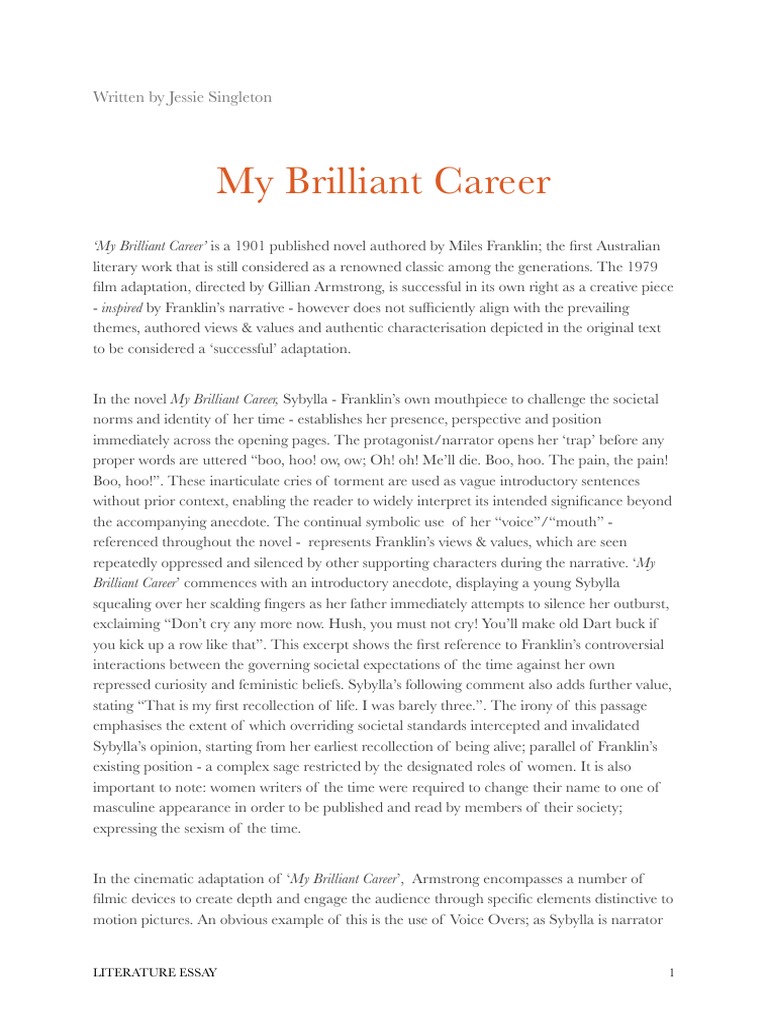 an essay choosing a career