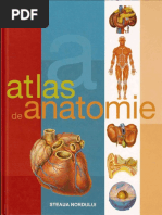 atlasdeanatomieilustrat-130311192301-phpapp02.pdf